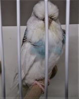 DSCF5801.JPG